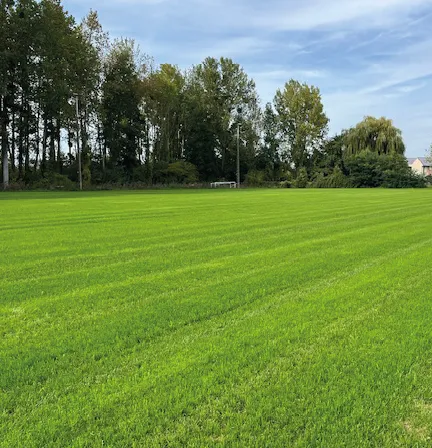 Entretien de terrains de foot-18